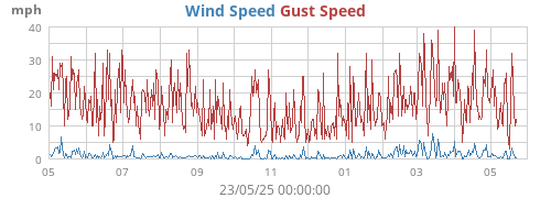 yearwind